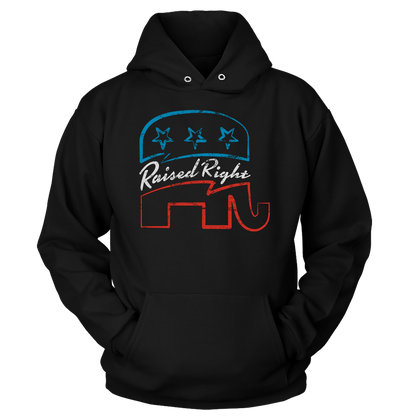 T-shirt Unisex Hoodie / Black / S Raised Right