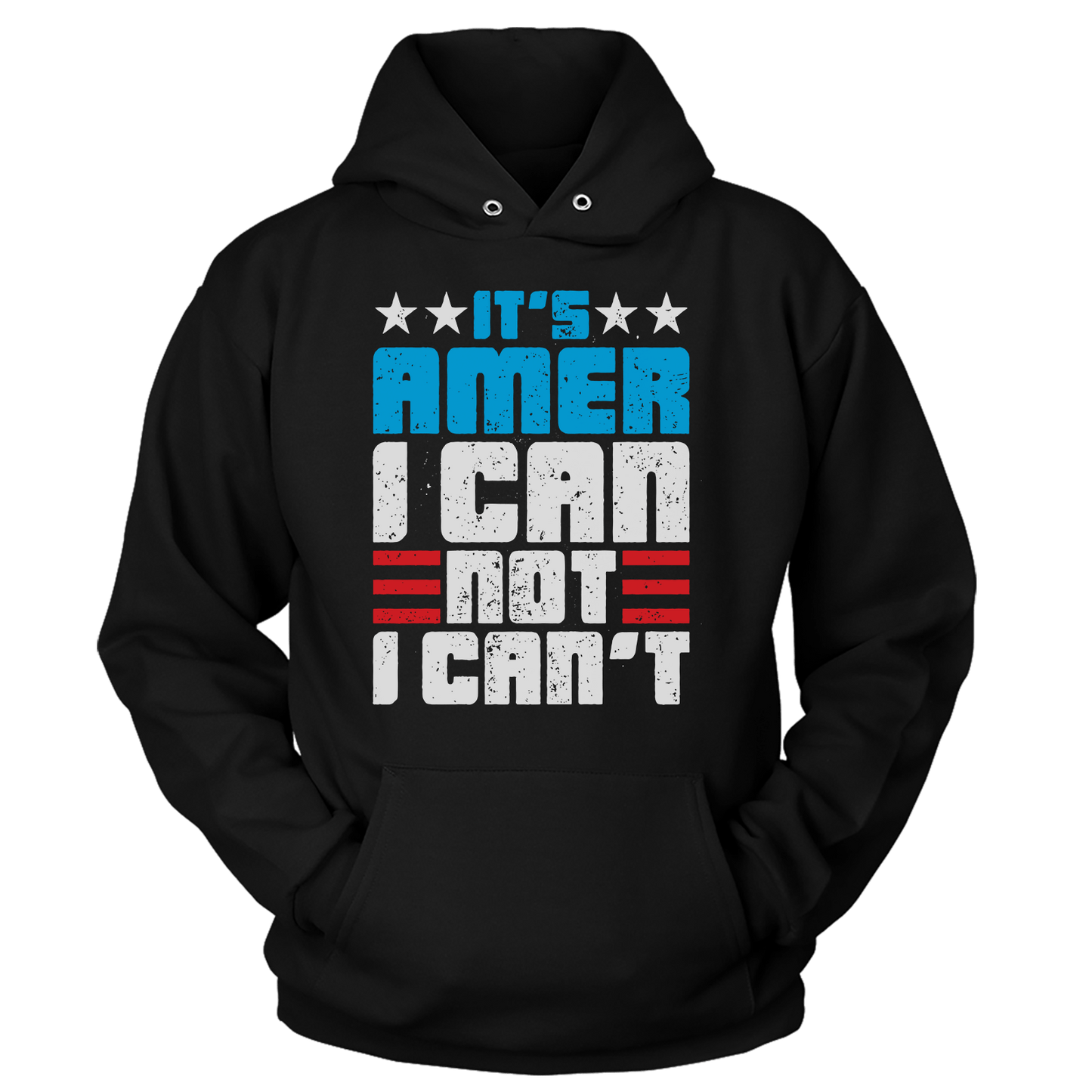 Apparel Premium Soft Hoodie / Black / XS Amer I Can (Ladies)