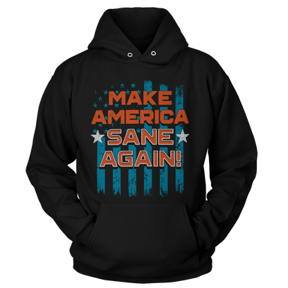 Apparel Unisex Hoodie / Black / S America Sane Again - May 2022 Club AAF Exclusive Design