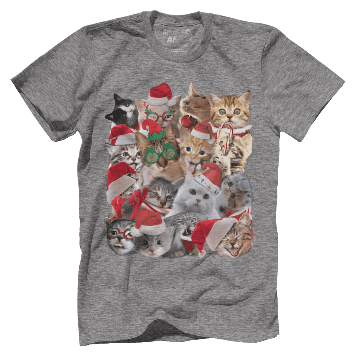 Cat Christmas