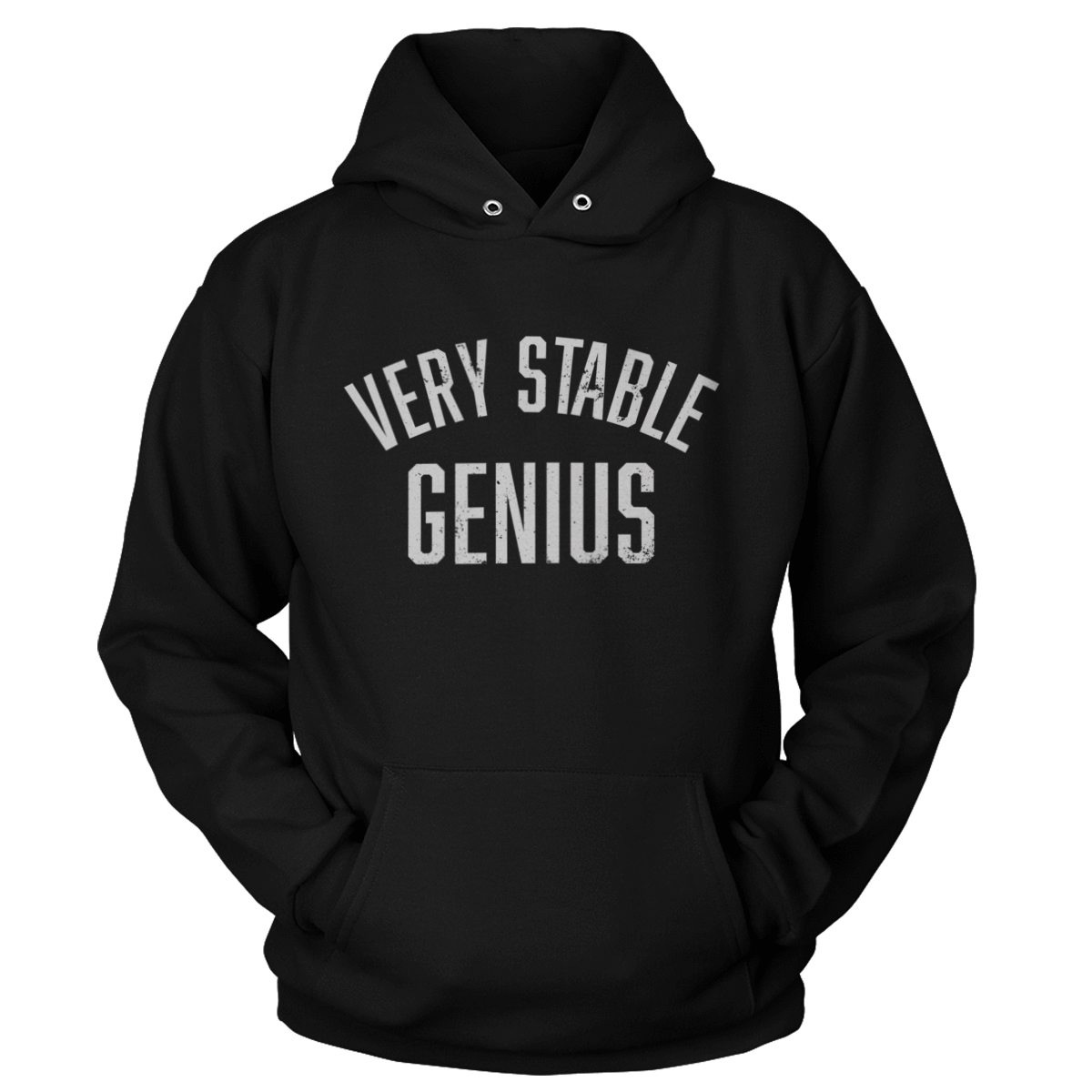 T-shirt Unisex Hoodie / Black / S Stable Genius